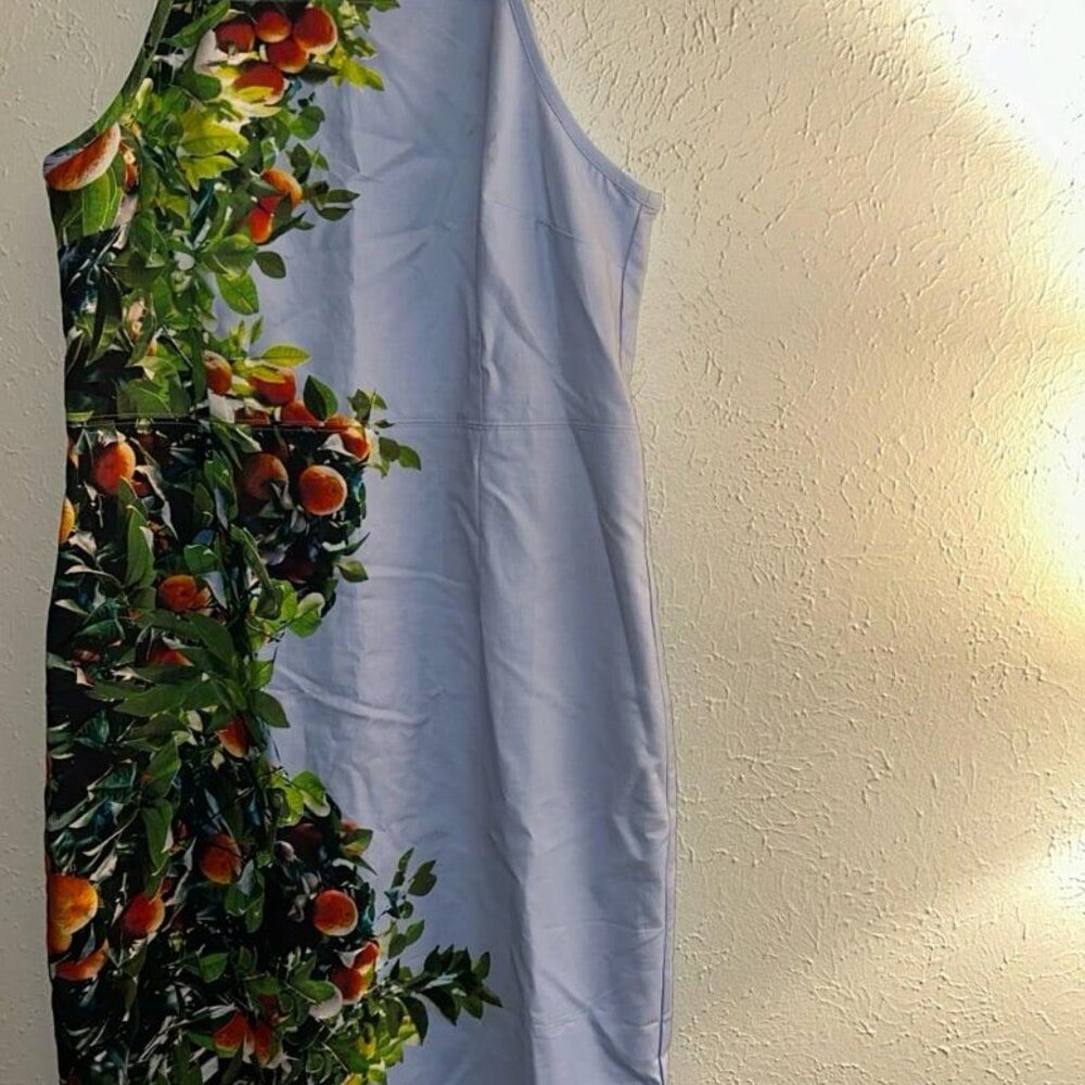 Anthropologie dress